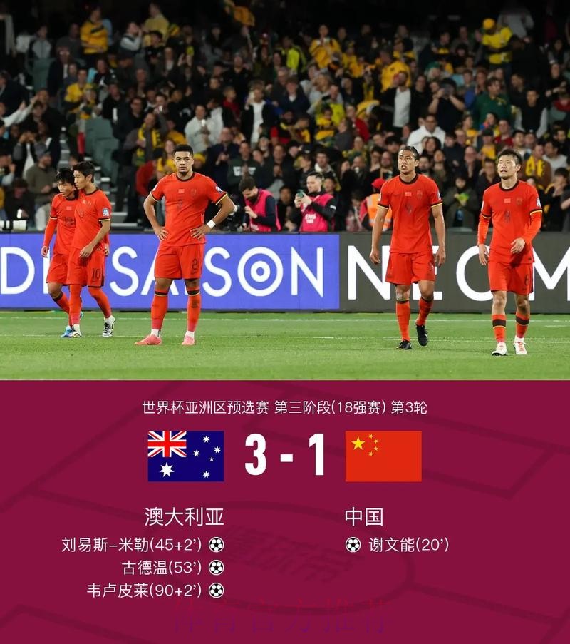 世界杯比分手机